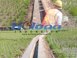 Monitoring dan Evaluasi Program Percepatan Peningkatan Tata Guna Air Irigasi di Desa Munjul Kecamatan Cilaku Cianjur