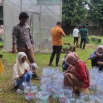 Hidroponik Sumbu, Jawaban Bertani Tanpa Lahan Luas