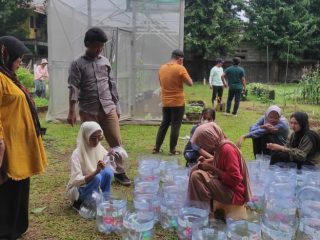 Hidroponik Sumbu, Jawaban Bertani Tanpa Lahan Luas