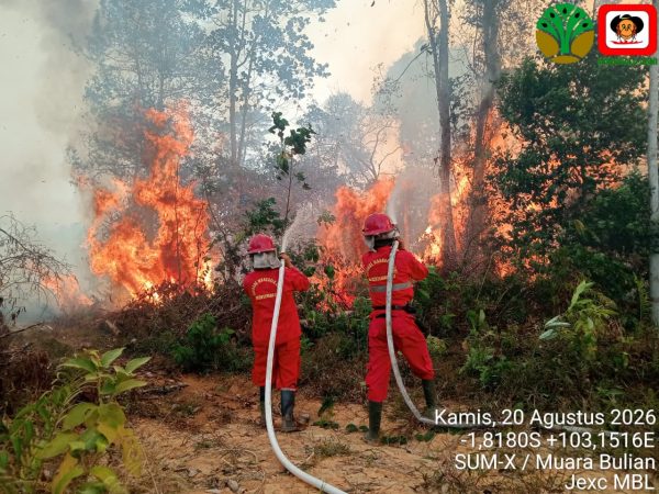 6 Provinsi di Kalimantan dan Sumatera Jadi Prioritas Penanganan Karhutla, Operasi Darat Jadi Ujung Tombak