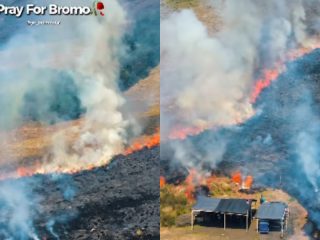 Kebakaran Gunung Bromo Hanguskan 70 Hektare, Rambatan Api Lewati Tugu Perbatasan Malang-Lumajang