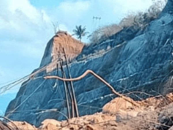 Update Bencana Gempa di Nusa Tenggara Timur: Korban Tewas Capai 47 Orang, 5 Bandar Udara Kini Terdampak