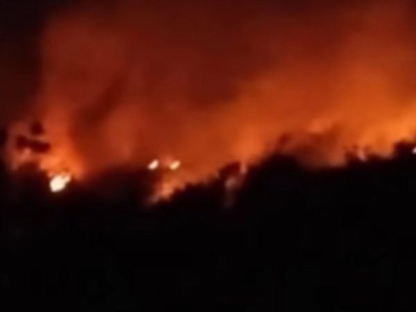Karhutla Landa Gunung Geulis Sukabumi: Dipicu Dugaan Banyaknya Vegetasi Bambu di Lahan yang Kering