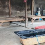 Kelangkaan Singkong Kuning Mengancam Usaha Tape Singkong di Cianjur, Pelaku Usaha Harap Perhatian Pemerintah